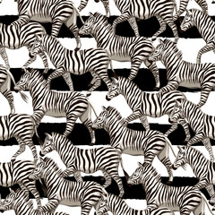 Fototapeta na wymiar Vintage african zebra wildlife animal seamless pattern striped background. Exotic safari wallpaper.