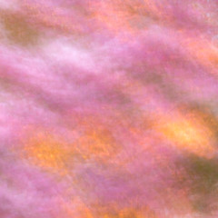 Abstract Spring Color in Motion