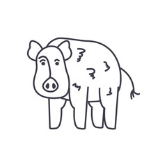 pig animal icon, line style
