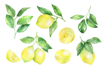 Watercolor illustration with lemons and leaves.  - obrazy, fototapety, plakaty