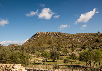 Reise durch die Berge von Mallorca 