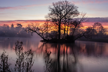 Obraz premium sunrise at lake