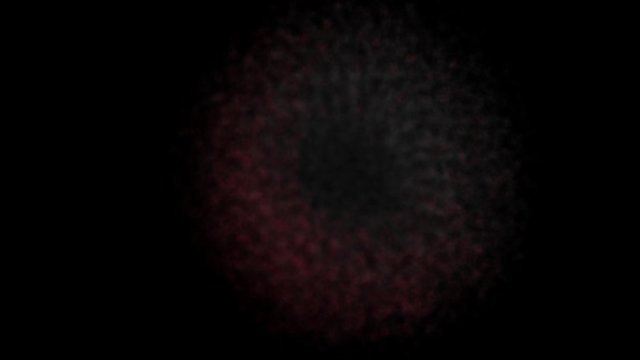 Corona virus die Desintegration