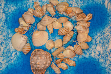 Background of blue cloth with marine shells