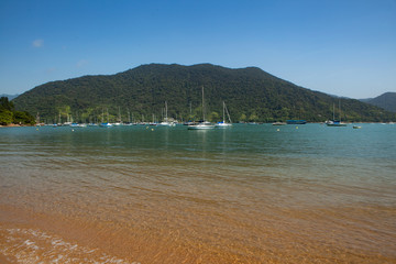 beach
clear
nature

outdoor

bay

boats
