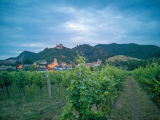 Fototapeta na wymiar vineyard in the mountains