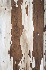 Texture of a wooden surface with white cracked paint