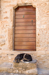 Black dog lying stone step in front wooden door