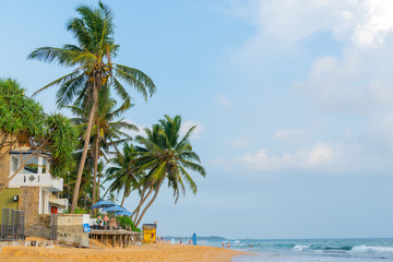 Hikkaduwa, Sri Lanka. March 1, 2018.  Beautiful coconut tree on background of blue tropical sky. Ocean waves on the beach.