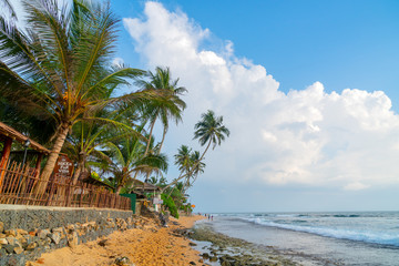Obraz premium Hikkaduwa, Sri Lanka. March 1, 2018. Beautiful coconut tree on background of blue tropical sky. Ocean waves on the beach.