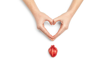 Human heart in hand isolated on white background. Health care and cardiac disease concept.