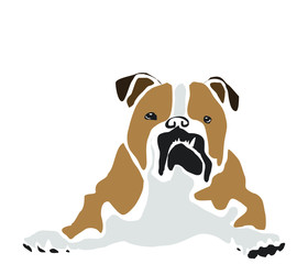 Dog vector. Dog drawing. Domestic animals. Animal companion.