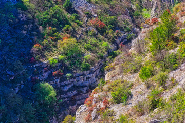 Cikola river canyon in Dalmatian Zagora in Croatia.