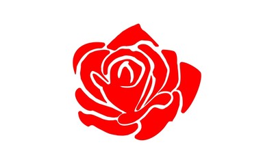 R,Rose,Flower