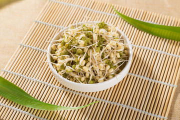 Bean sprouts food