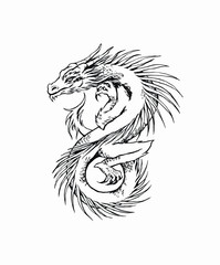 Dragon tattoo ink drawing isolated on white print