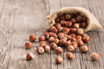 Hazelnuts, filbert in burlap sack on rustic wooden table. heap or stack of hazel nuts. Hazelnut background, healty food