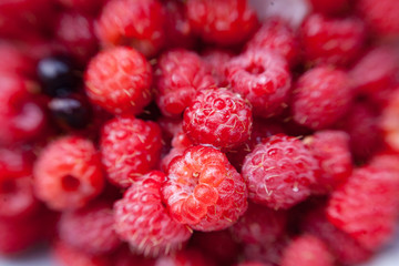 selection of freshly picked ripe red raspberries and 2 berries of black currant