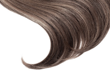 Brown hair on white, isolated