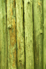 The fence is made of round vertical pine logs, rich green color. Background