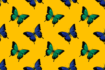 seamless pattern of blue and green butterflies drawn in watercolor on a colored background