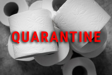 A lot of toilet paper rolls on gray textural background with the text Quarantine. Procurement of...
