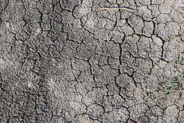 texture of desert