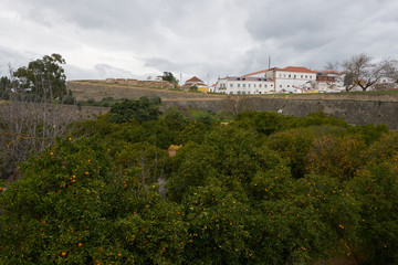 Fototapeta na wymiar Park in Elvas Alentejo, Portugal
