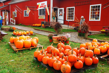 Pumpkins and autumn decorations are on sale at a roadside vendor in Vermont