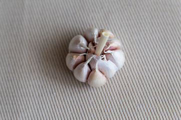 garlic closeup isolated on light background