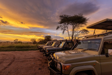 Group of safari cars during sunset in Serengeti National Park in Tanzania - obrazy, fototapety, plakaty