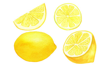 Set of watercolor hand-drawn lemons: