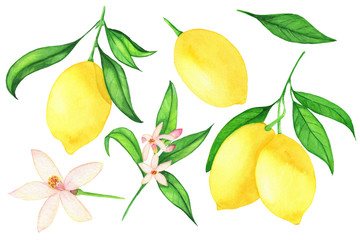 Lemon set