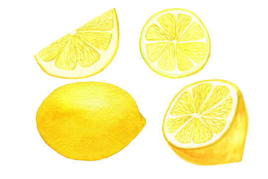 Set of watercolor hand-drawn lemons: