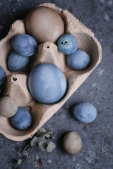 easter eggs with herbal decor
