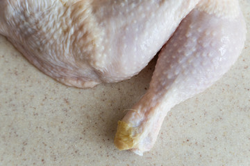 fresh chicken leg isolated on light background
