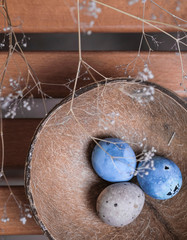 Obraz premium easter eggs with herbal decor