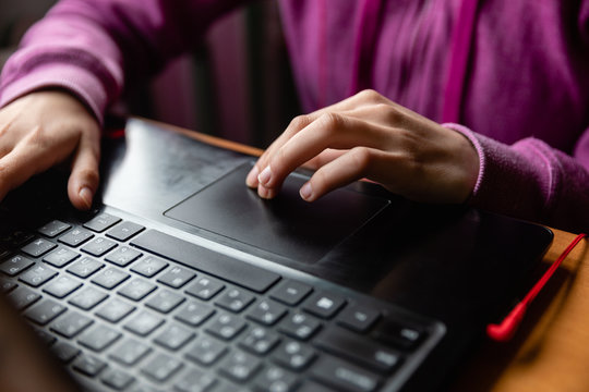 Young caucasian girl in pink sweater at computer while studying online programming at home near the window