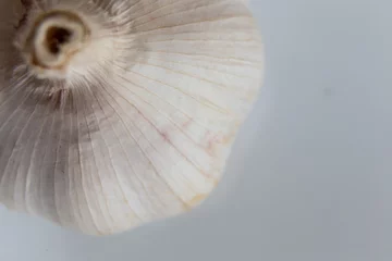 Poster garlic close-up macro isolated on white background © Tania