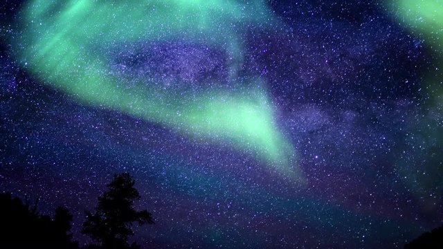 Aurora Borealis Over Pine Tree Milky Way Galaxy Time Lapse Simulated Northern Lights