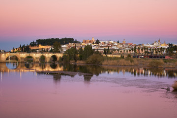 Fototapeta na wymiar Badajoz city at sunset with river Guadiana in Spain