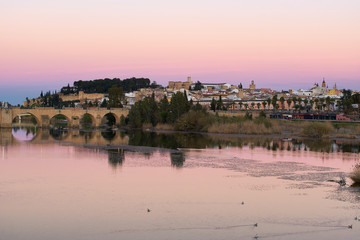 Fototapeta premium Badajoz city at sunset with river Guadiana in Spain