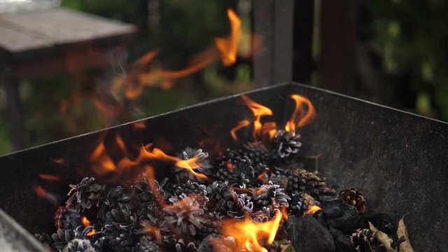 Fireplace Fire Flames Embers from Pine Conifer cone. Summer House Terrace outdoors. Cooking Barbeque BBQ. Isolated close-up. Slow motion.