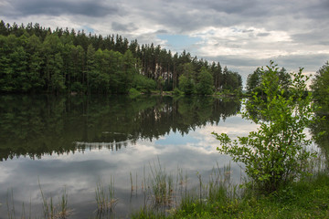 lake in the forest