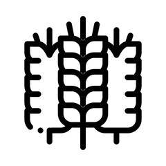 spikelets of wheat icon vector. spikelets of wheat sign. isolated contour symbol illustration