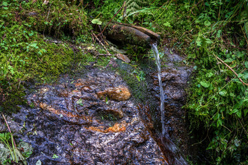 A source of groundwater in the Dolomites