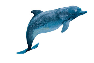 Watercolor deep blue dolphin with spots salty texture. Original hand paint illustration of sea animal, isolated on white background
