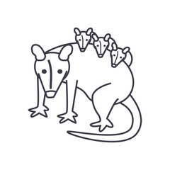 opossum with hatchlings icon, line style