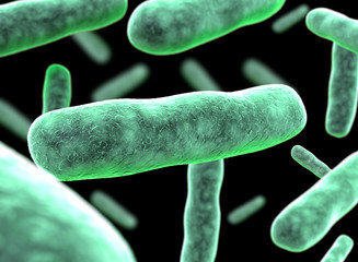 E coli Bacteria. vibrios type category.