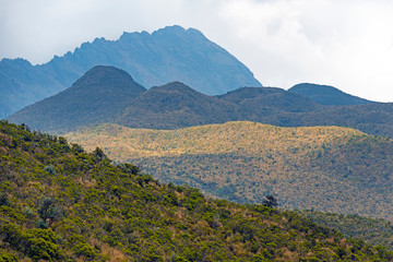 Various layers of colors and altitude in the Andes mountain range and paramo ecosystem, Cotopaxi national park, Quito, Ecuador.